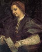 Take the book portrait of woman, Andrea del Sarto